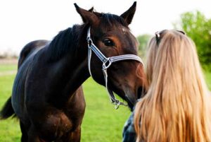 a person is outside with a horse in the persons equine therapy program 