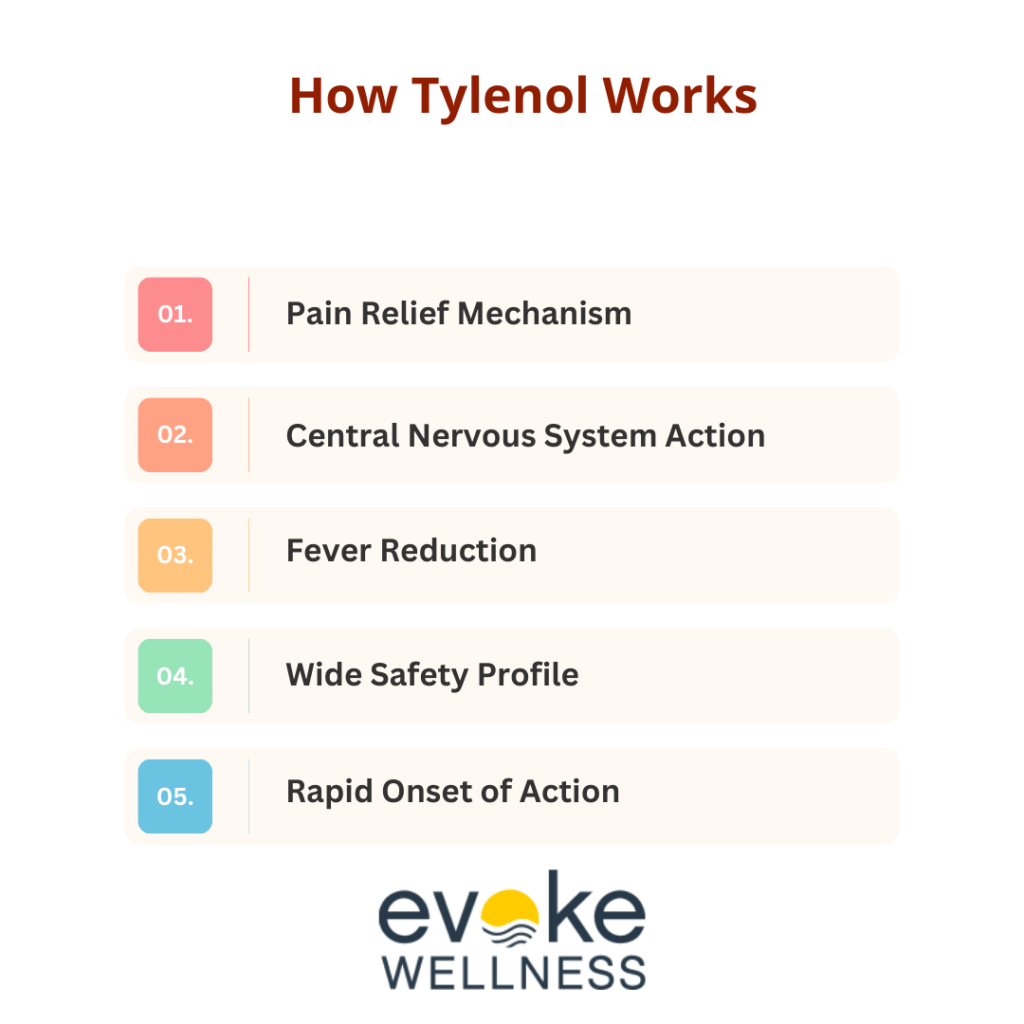 How Tylenol Works