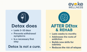 Detox vs. Rehab